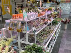 -KKV(上海月星环球港店)