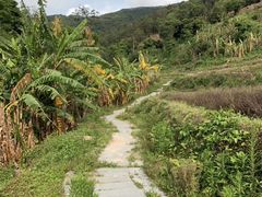 -锄山村