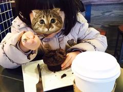 -星巴克臻选(青岛麦凯乐分店)