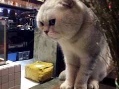 -MIKAKU(万达广场上海宝山店)