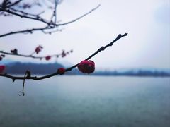 -梅城古镇