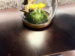 -芸山季·云南山珍菌火锅(人民广场来福士店)