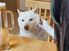 -柴の食堂·日式家庭料理·熊之肆(大学路店)
