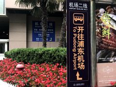 -上海机场-城市航站楼