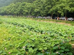 -韶山毛泽东同志故居