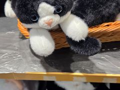 -酷乐潮玩(凯德MALL西直门店)