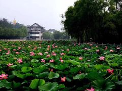 -南戴河国际娱乐中心