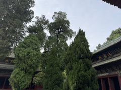 -报恩寺(平武县)