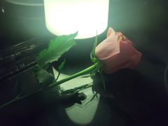 -Big Bamboo 大竹子体育主题餐厅(虹梅路店)