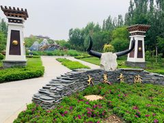 -武清南湖绿博园