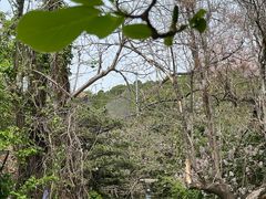 -燕塞湖鸟语林景区