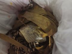 -金太粽(上海弄堂第一粽店)