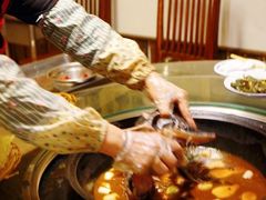 鲟鱼-姥家大锅台水库渔家