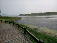 -天津东丽湖风景区
