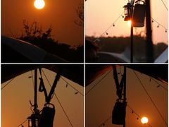 -春花秋色城市公园