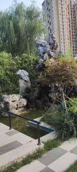 -宝馨月月子中心(友谊医院店)