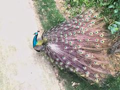 -柳州市动物园