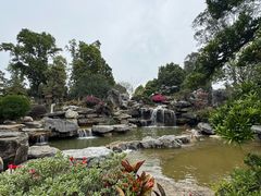 -东莞植物园