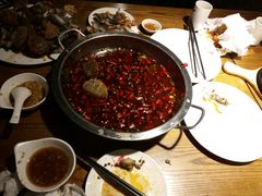 -船歌鱼水饺(淄博万象汇店)