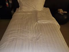 -国家会议中心大酒店