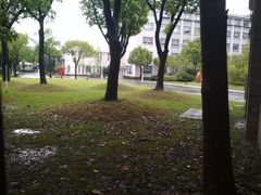-上海财经大学(国定路校区)