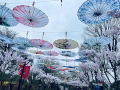 -武汉紫薇都市田园