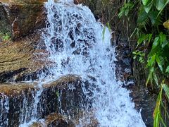 -阳台山森林公园