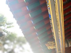 -洛阳周公庙博物馆