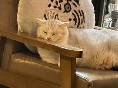 -咖法森林·咖啡  酒吧(天河店)