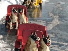 -长春市南湖公园