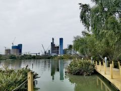 -华侨城湿地公园
