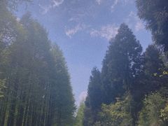 -山王坪喀斯特国家生态公园
