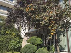 -国御温泉度假小镇