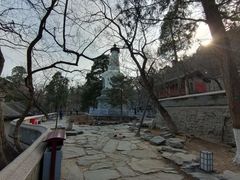 -大觉寺-停车场