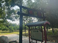 -大槐树寻根祭祖园