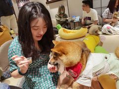 -逗柴咖啡屋·狗咖猫咖宠物桌游