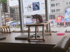 -藏猫猫咖啡主题馆(中央大道店)