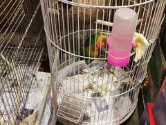 -玉桥餐厅(天坛店)