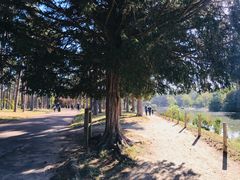 -巴黎路易威登基金会艺术中心 