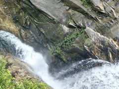 -海南热带雨林国家公园吊罗山景区
