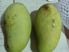 -拼多多官方网站