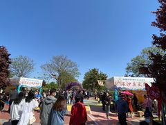-曹州牡丹园