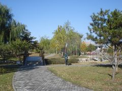 -望湖公园
