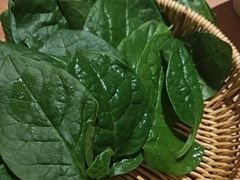 -巴奴毛肚火锅(龙湖锦艺城店)