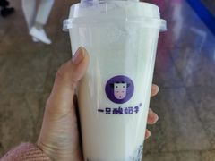 -一只酸奶牛(八一路店)