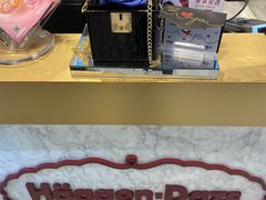 -哈根达斯(西安路店)