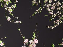 -滨湖塘西河公园