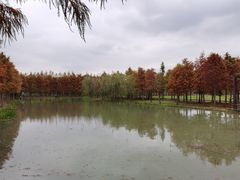 -上海浦江郊野公园-5号停车场