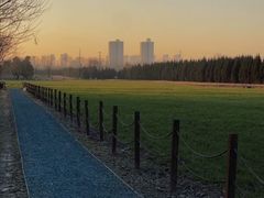 -汉长安城未央宫国家考古遗址公园