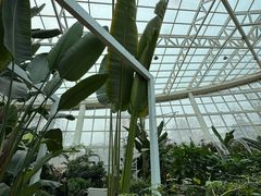 -石家庄市植物园